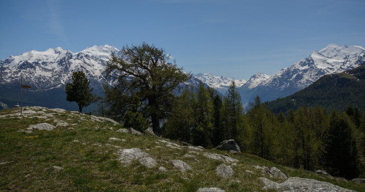 Sicht von Stand auf den Mischabel und Weisshorn Gebirge. Dazwischen der Breithorn und Klein Matterhorn