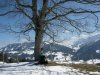dscn4036_r