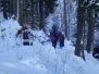 2010-12_wachthubel