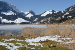 AET_0004
