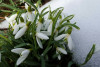 AET_0058_1_r