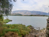 ALB_0645