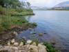 ALB_0647