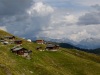 ALE_0079
