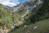 ALE_0906