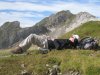 img_1226_r