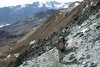 dscn4801_r_2