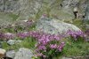 dscn4855_r_2