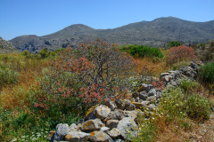 KYK_1278