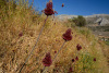KYK_1581f