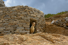 KYK_1807