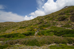 KYK_1825