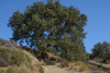 KYK_0560