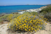 KYK_2202