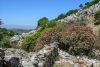 KYK_2313