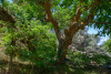 KYK_2326