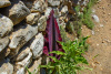 KYK_2333