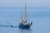 KYK_2369