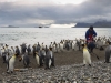 Falkland Islands, South Georgia, Antarctica 04-22 February, 2012