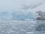 antarctica14