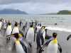DSC_0358-Pano