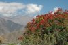 ped_0691_r