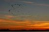 pos_0749_2_r