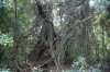 pos_0857_r