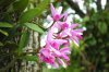 pos_0887_2_r