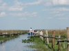 pos_0828_r