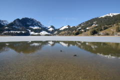 AET_0109