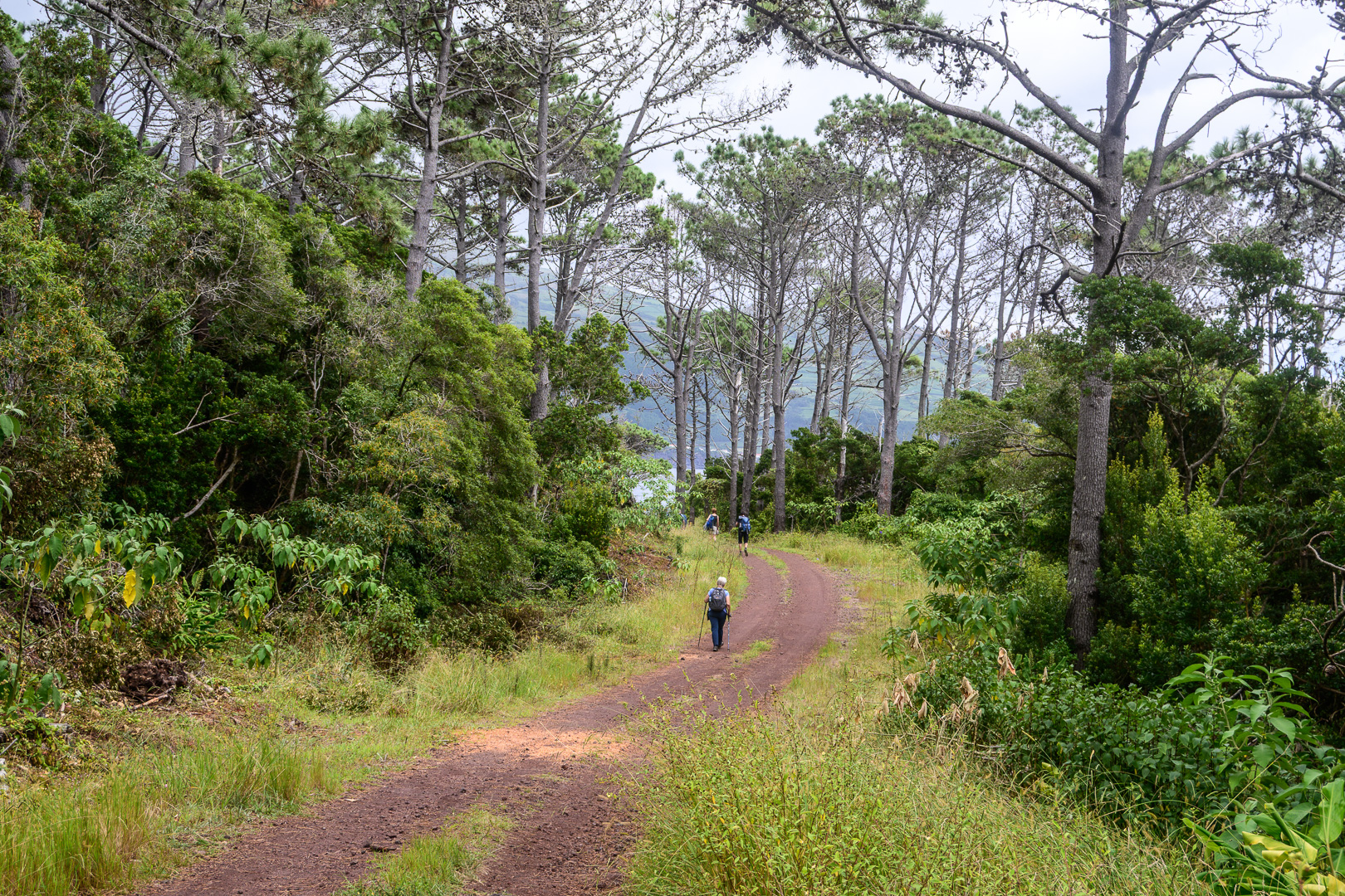 AZO_0184