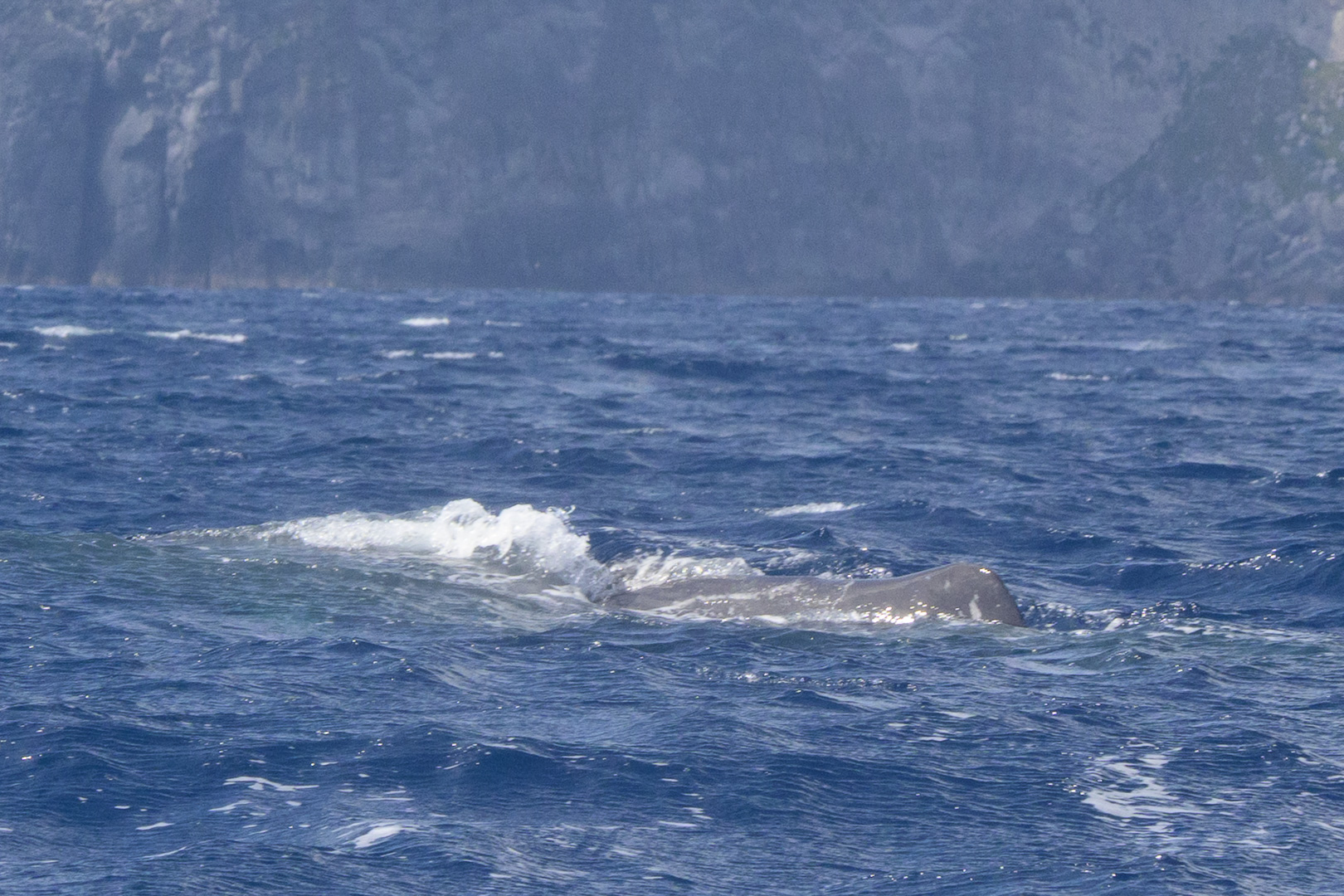 AZO_0329
