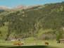 betelberg01