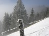 dscn5241_r
