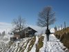 dscn5251_r