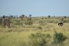 dsc_1028_1_r