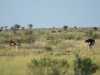 dsc_1027_1_r