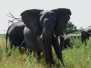 botswana07
