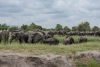 BOS_404_6389