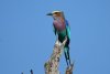 dsc_1526_1_r