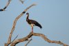 dsc_2480_1_r