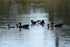 dsc_3298a_1_r