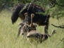 botswana12