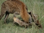 botswana14
