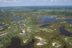 BOS_001_0005