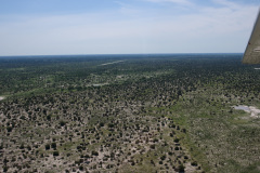 BOS_002_0007