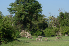 BOS_016_4180