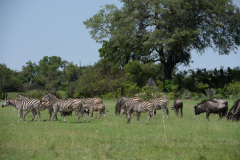 BOS_019_0746