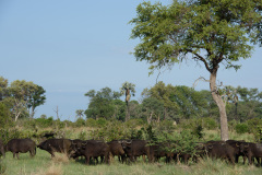 BOS_024_0488
